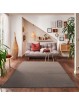 Modern Halı Salon Mutfak Oda Büro Halısı Yumuşak Kısa Havlı Kırçıllı Desen Açık Kahverengi